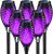 IkeeRuic Halloween Decorations Outdoor, Purple Halloween Solar Lights with Flickering Flame, Solar Torch Lights for Yard Decorations, Waterproof Outdoor Lighting for Garden Pathway Patio Outside Decor